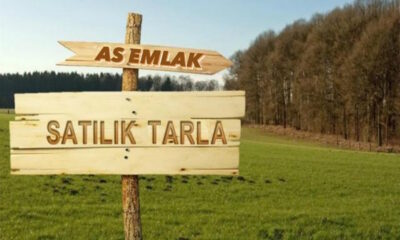 satilik-TARLA-asemlak