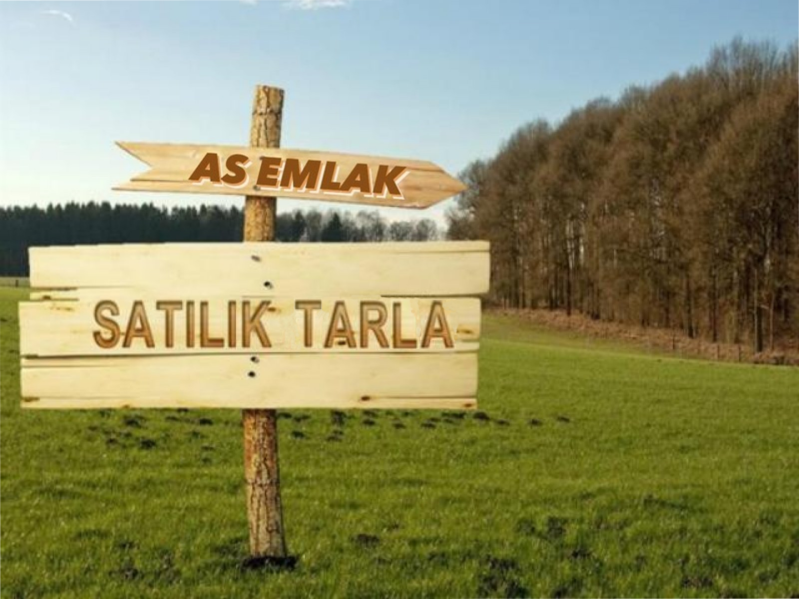 satilik-TARLA-asemlak